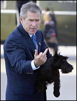 Fuck Bush: Fuck Me? Fuck You!